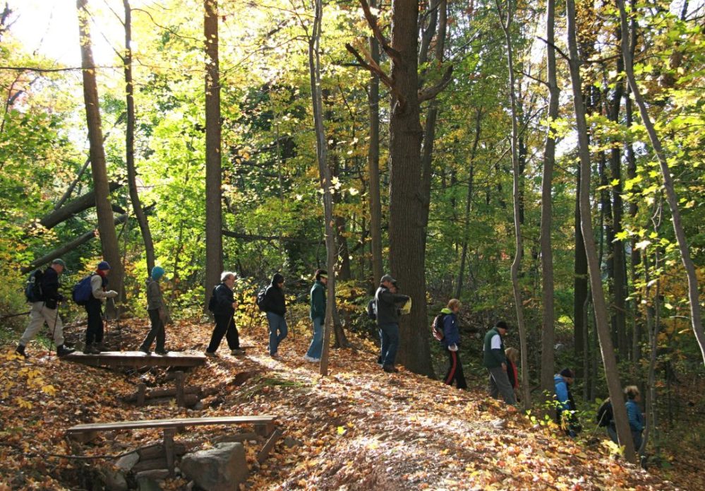 a group of people in a forest